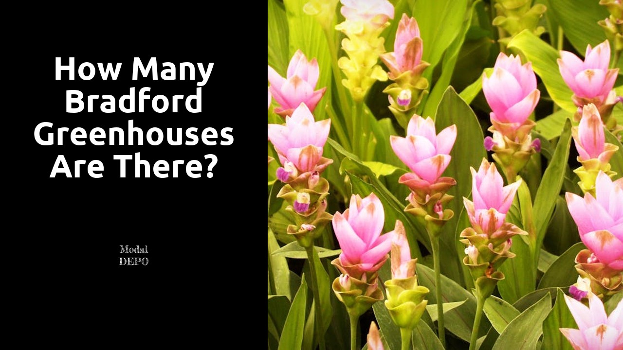 How many Bradford Greenhouses are there?