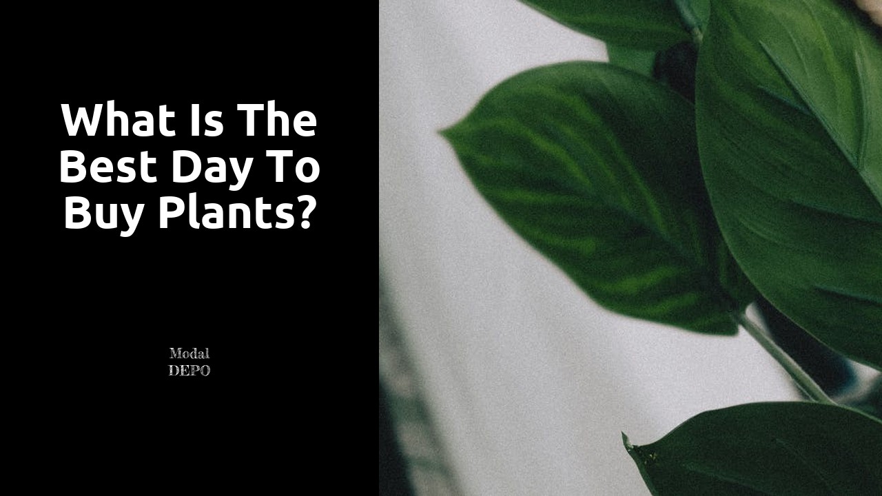 What is the best day to buy plants?